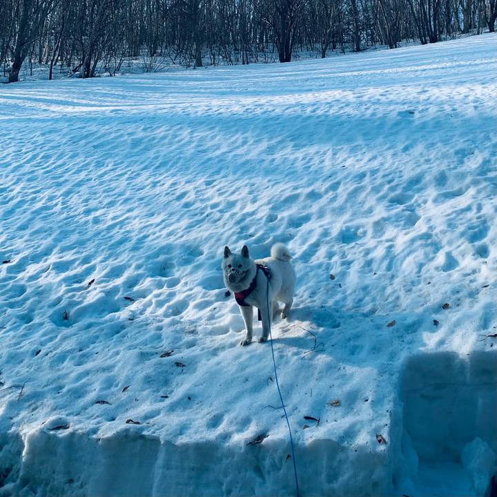 D00696cc bba0 41a7 ae43 878cf55b6ae8 1680129593647