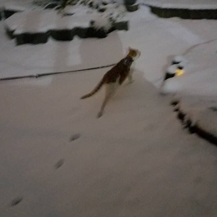 D0069924 7f3d 4ba4 be84 6ff3634d6fac 1516618678142