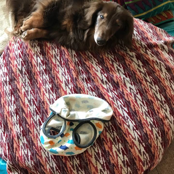 D006e9ac b99a 4a73 9ec8 95cf440d827f 1526950479294