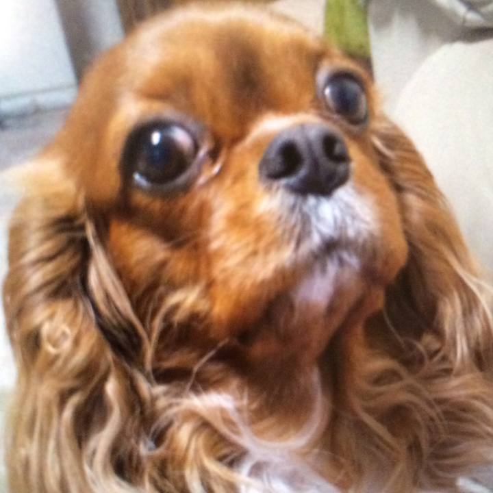 D00729b7 91fb 40d2 913e a39a2b5d476d 1516832278827