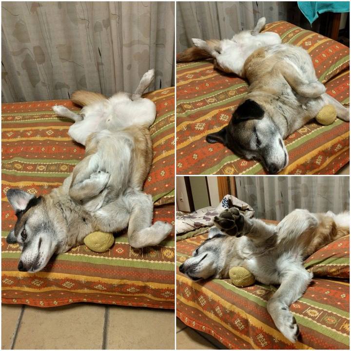 D0072fcc ac0f 4935 b372 958a3dd50ccb 1552310604258