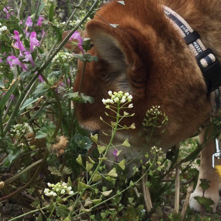 D0076bf6 dc18 4065 a6df d69afac5e596 1553845712044