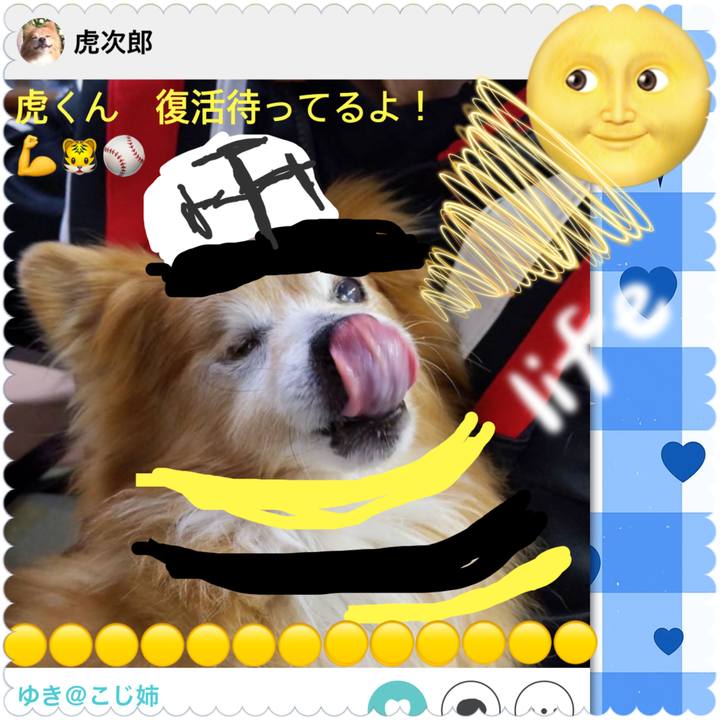 D00776a8 1dfd 410a a121 98ece3a64bd9 1769387045880