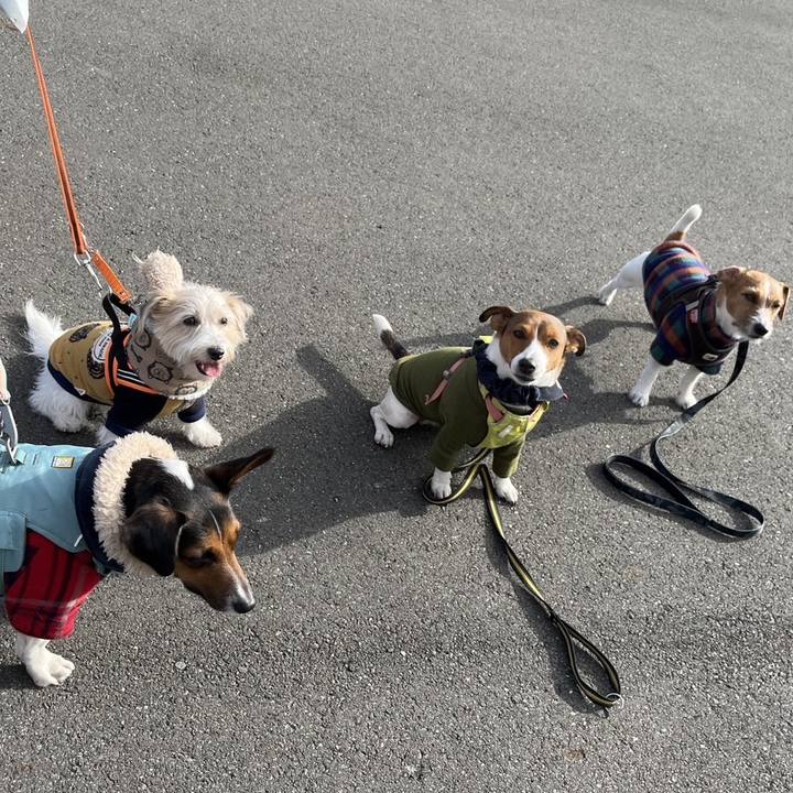 D007c54f 8030 4f5a 87d1 4509a206ab9b 1765613596283