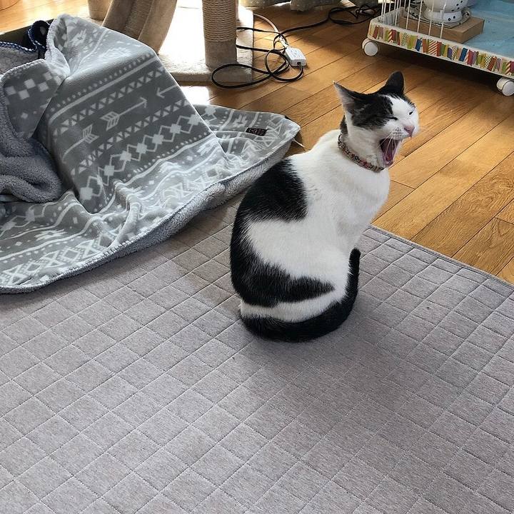 D007e942 0ebf 497b bcc7 232529ebd9e2 1646961888778