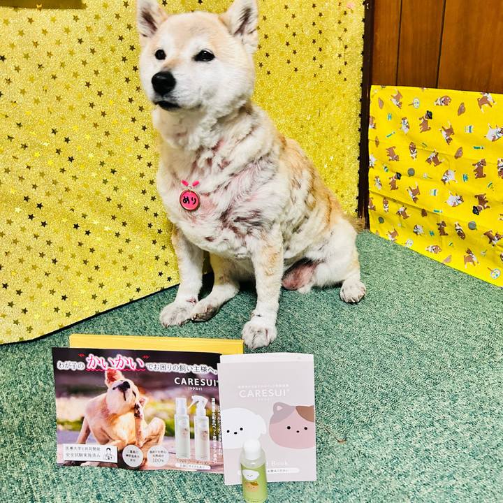 D007f7e5 9bce 4536 812a a915c63e011c 1746783208283