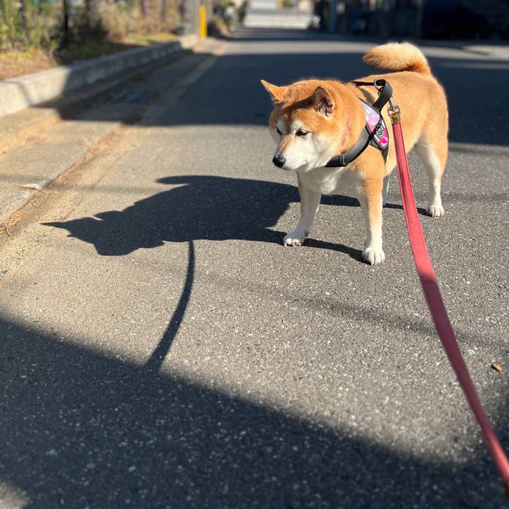 D0081956 5a1e 46b3 9028 a66a8141084f 1701143652291