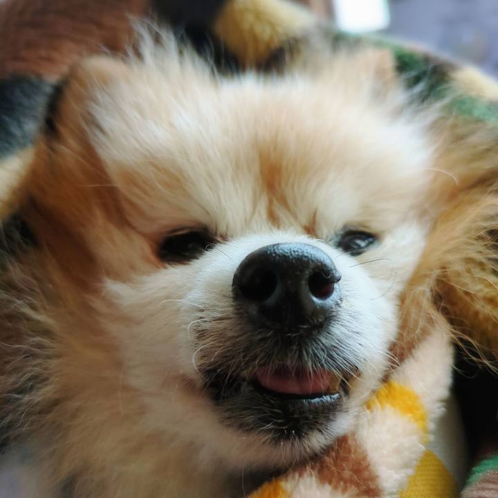 D0081b77 dfa8 4474 bfa4 e10c3ad07b05 1734474171603