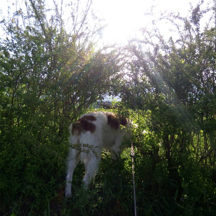 D00821cb 1b6d 46b9 a185 01f1b6f9d248 1523232173812