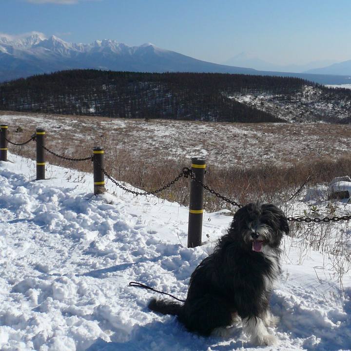 D008442b e0b4 4347 9d3b 7bba80feff4b 1549691173666