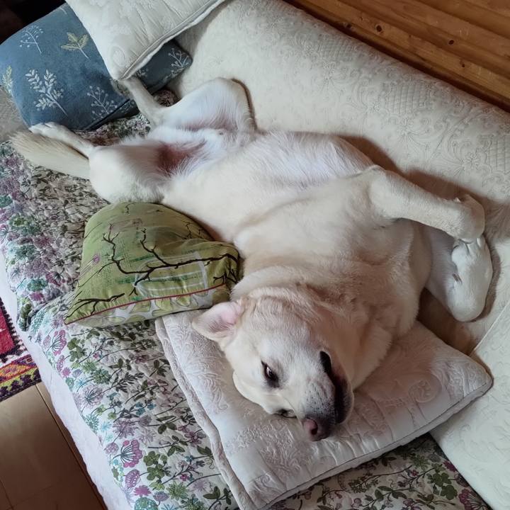 D0088b62 04f0 4027 85b8 4e6c5c8bb229 1716107603510