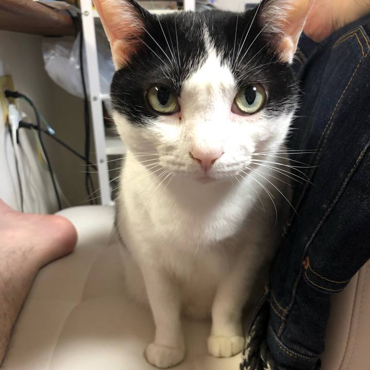 D008dac6 5b4b 4cb2 ae0c d4253b0b5018 1568440028779