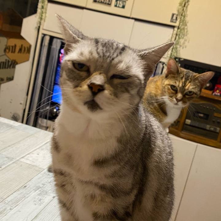 D008df95 4bd0 4d44 a319 b5f4c052b8f2 1626777930806