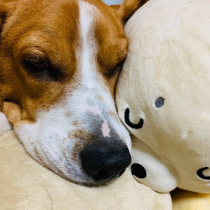 D008e7a9 48c5 4028 ba69 c21a0640ad60 1575704878845