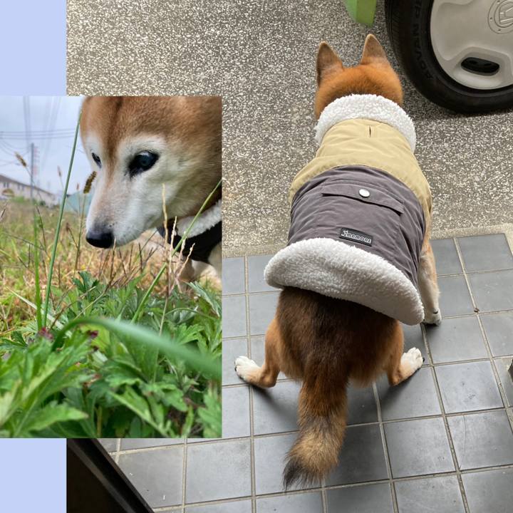 D0090ccc c6a5 4840 97a3 745ee4887411 1764720411328