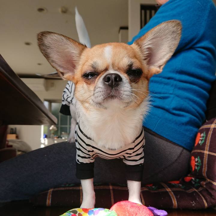 D0091ab1 c7c3 48b0 9057 4d09c41d8e62 1577617127842