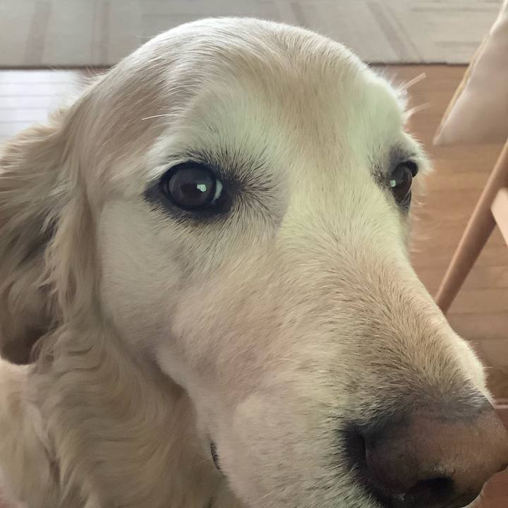 D0095054 8897 49e8 8edf 57bf692ecc9f 1588315464324