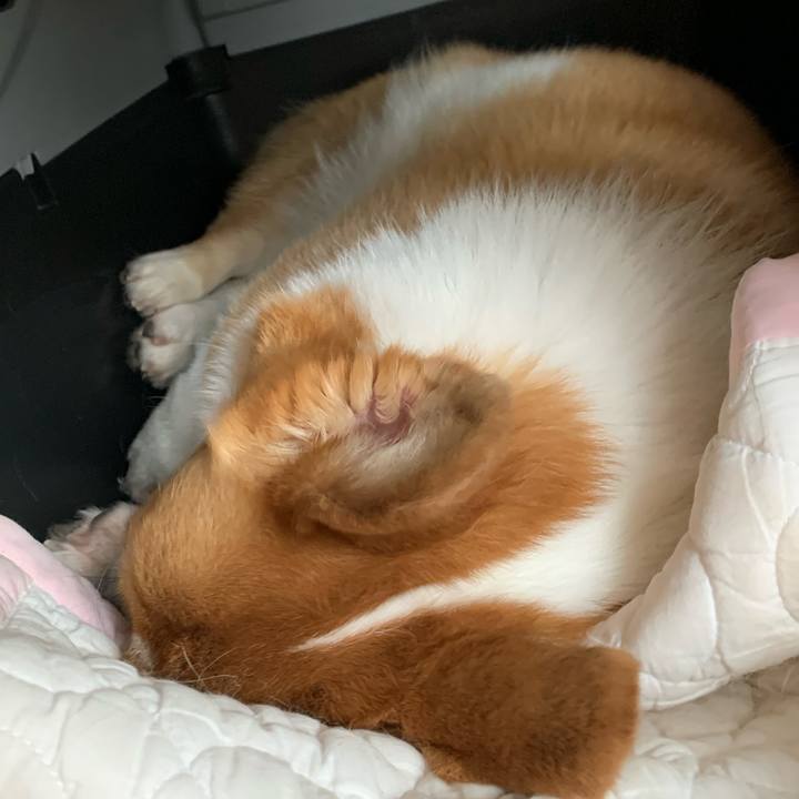 D0096450 cccf 433e a03c 732ef80bb220 1594601815921