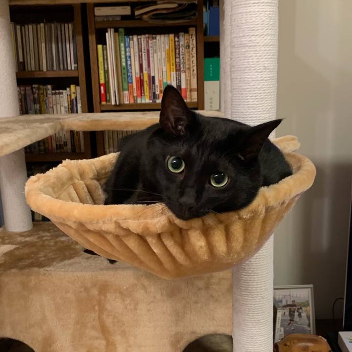 D0097d82 6ad0 4e22 b16a bebf49194039 1567693341326