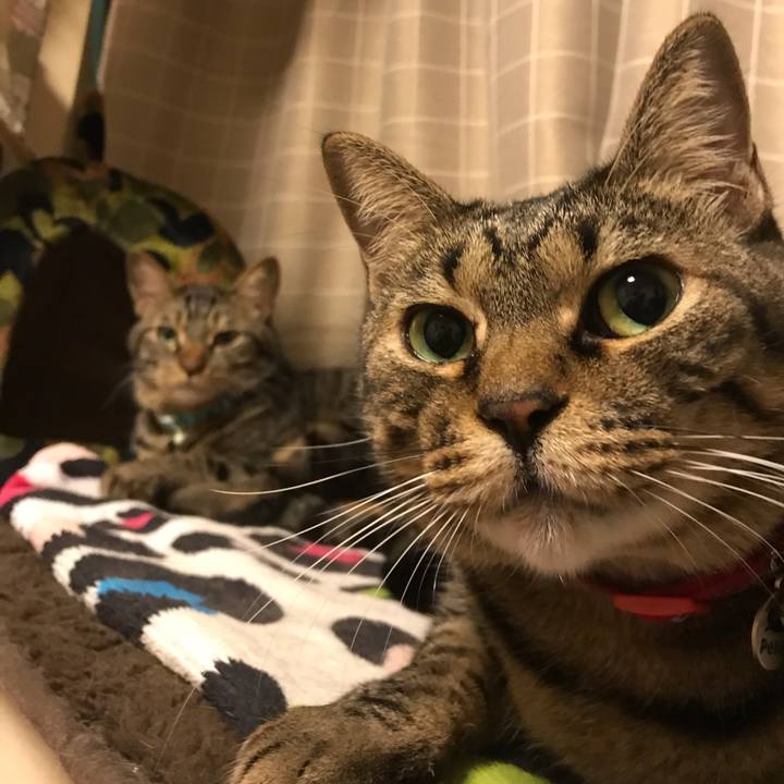 D0098934 f9f1 4b6d 92f8 cafe3a384c62 1553356639316