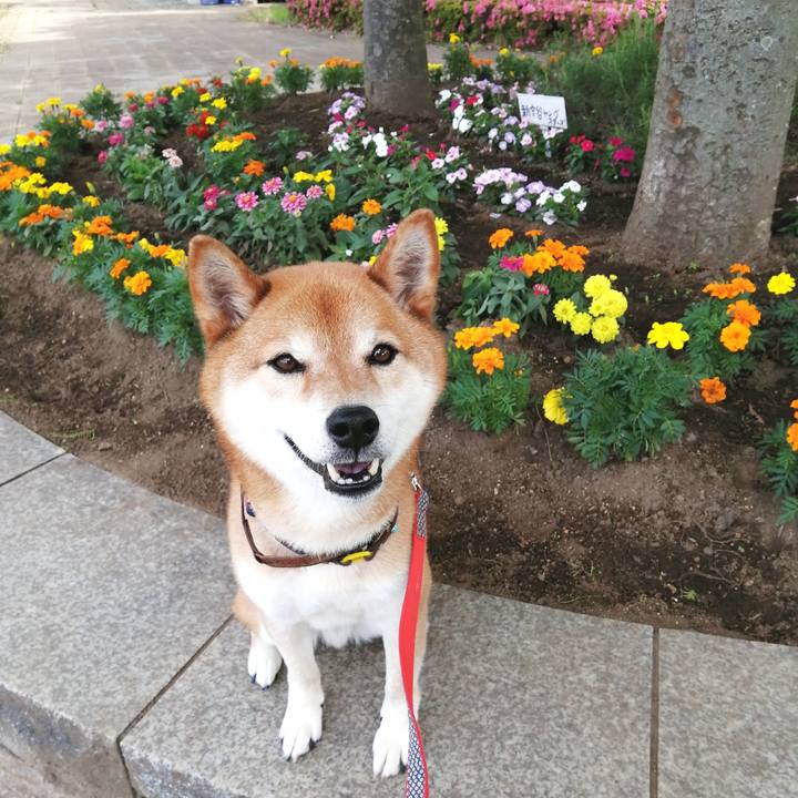 D0098955 b8d1 492e b603 9708a13bbf6a 1654224647697