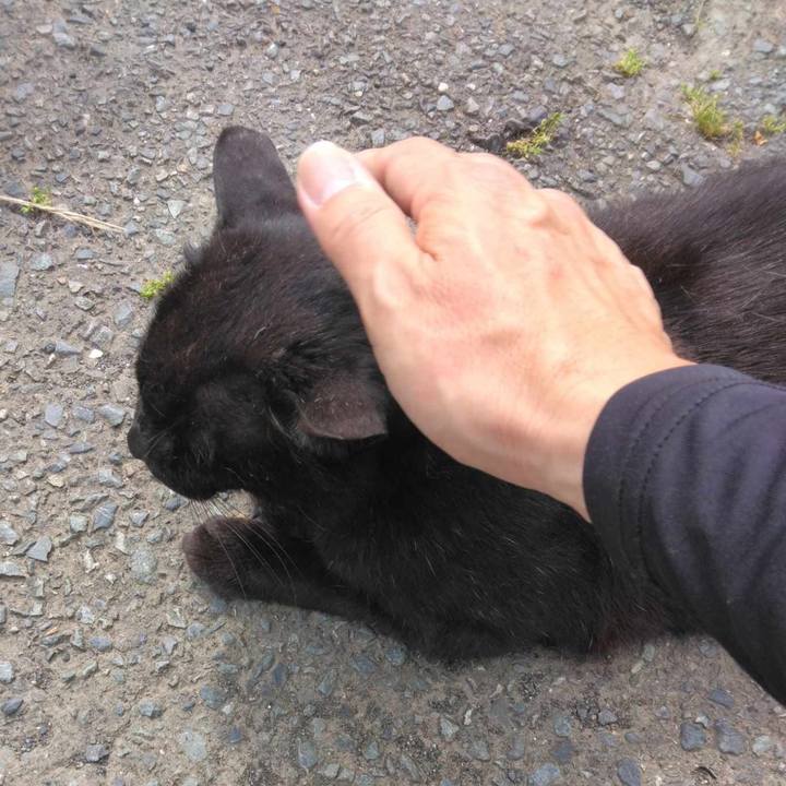 D009ed15 524c 439a 8cd5 b1b513d1e537 1717734226996