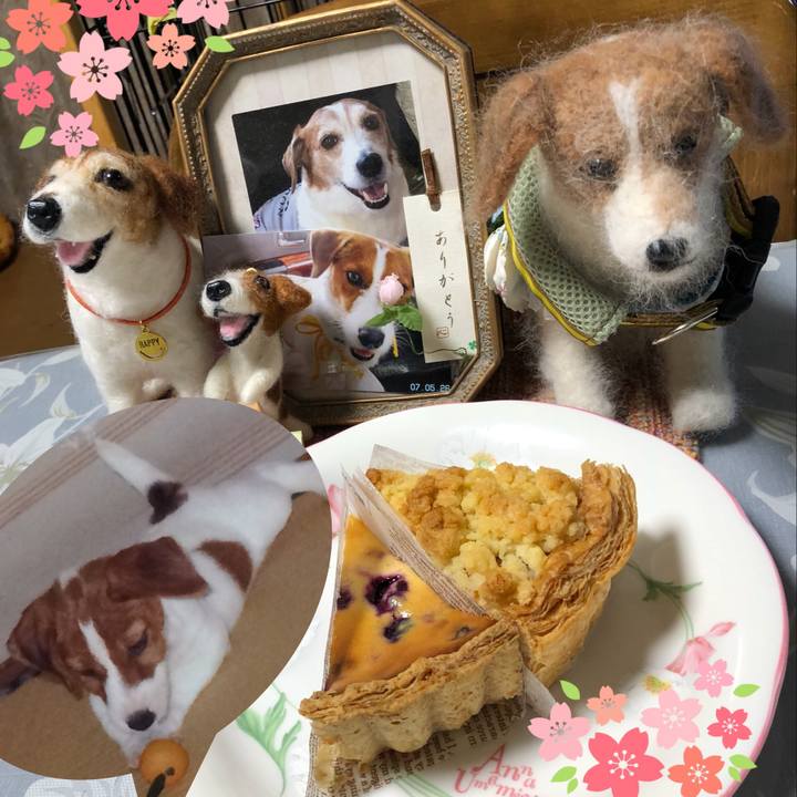 D009edfe 24c1 413b ae25 21c781fb5d13 1533726133818