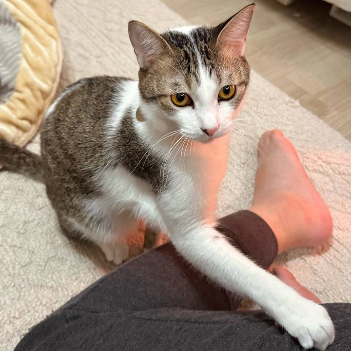 D009f804 aa34 431c 90c7 1a53fe0387ea 1764941552490