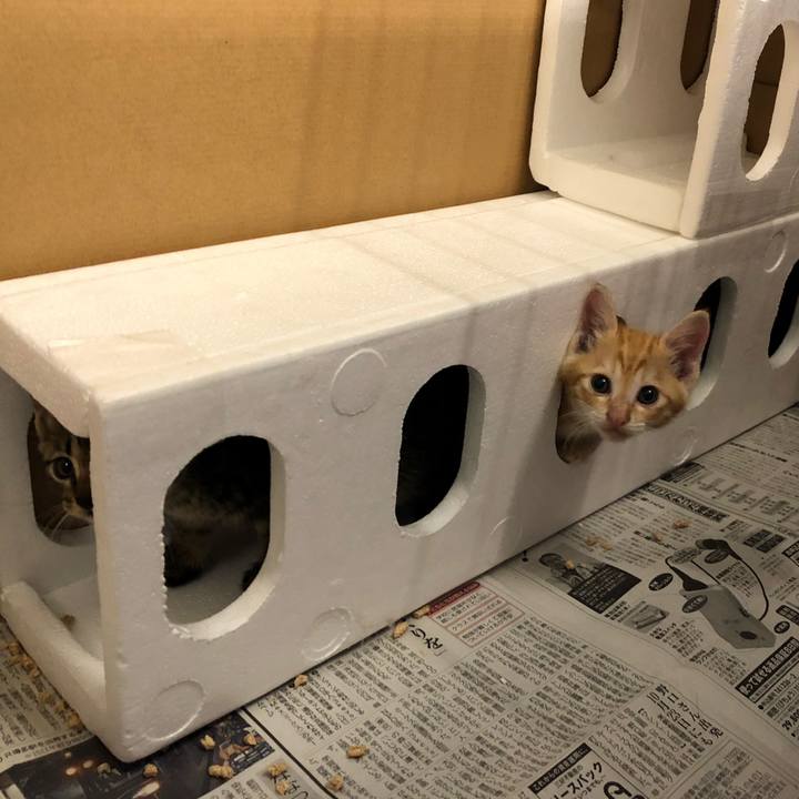 D00a1cb0 8066 45d5 8553 81caa475c3ad 1600772623200