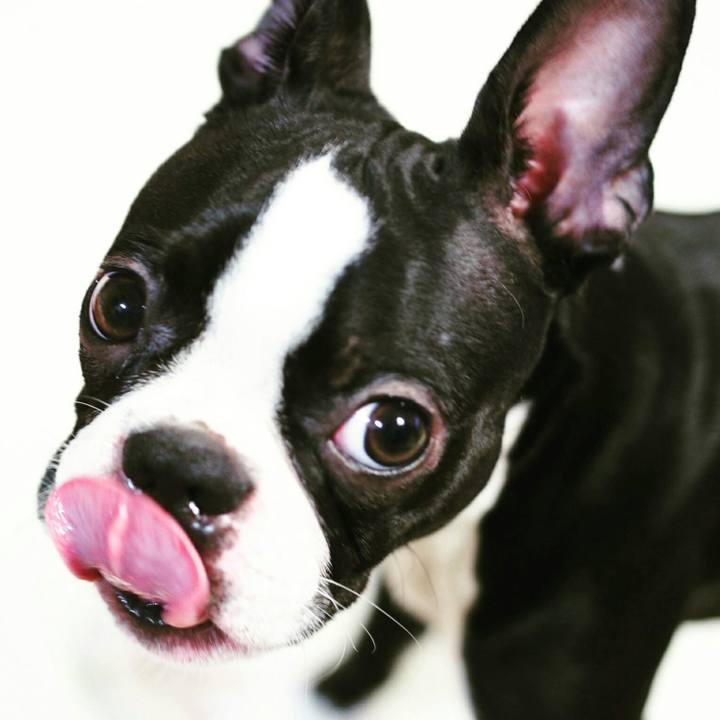 D00a35ad 4233 46ae 9d8a 703badb4acd8 1508852542656