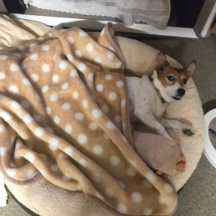 D00a484f 470b 4e6a 8c2b 159ed0dc1f9b 1571243081441