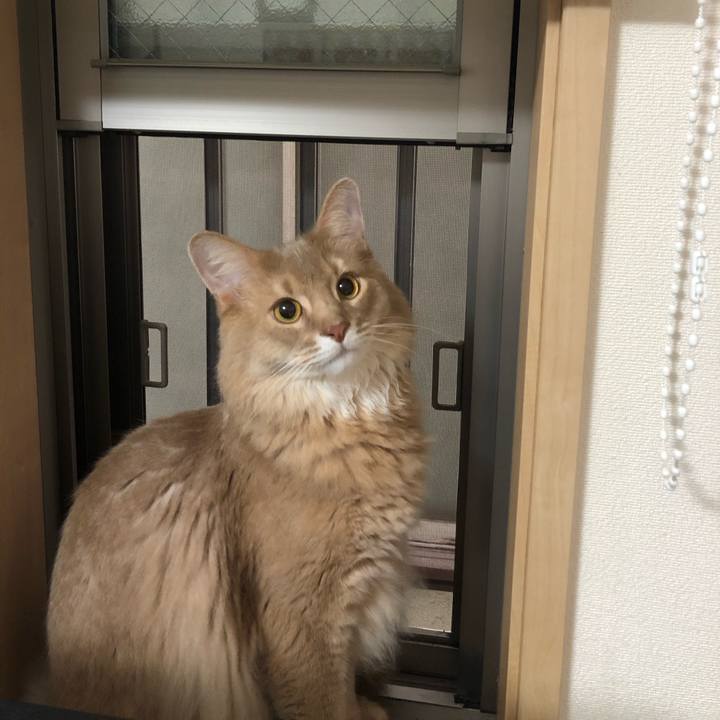 D00a7db5 5e31 4285 a043 66356ed2820a 1602125506548