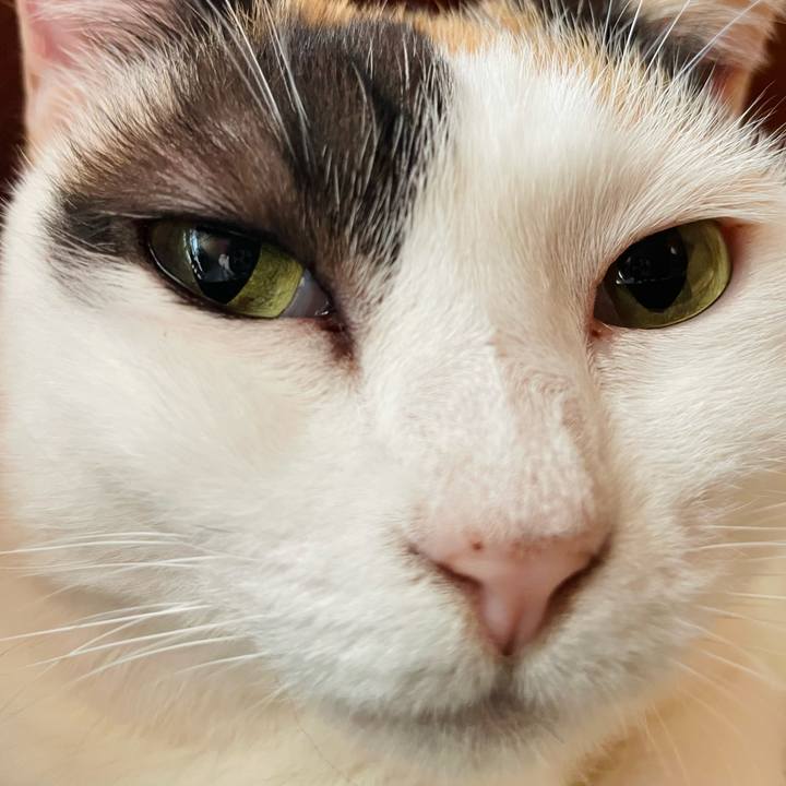 D00adcad ca84 4978 a04f c376669dba3a 1637374589647