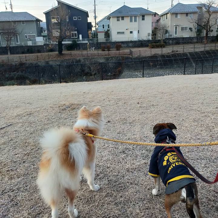 D00b112f 559f 4ac7 9d1e 5e44fe1f3d8c 1642682181952