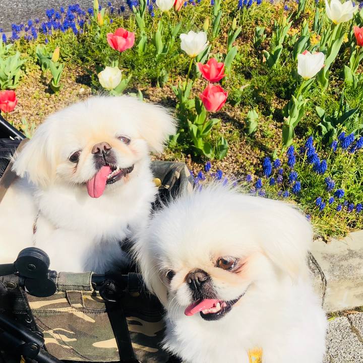 D00b2661 1432 43ba be6b 131759fdd0f0 1616584348286