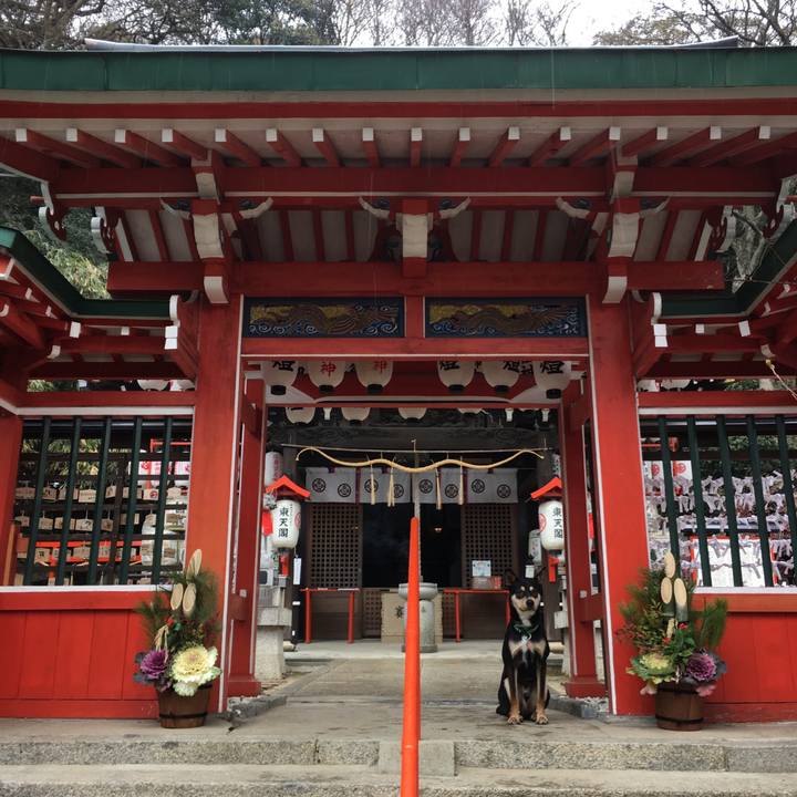 D00b3c81 289a 403b b664 cf48cab6438e 1515229007721