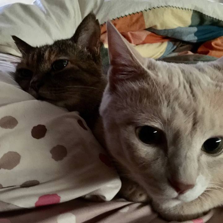 D00b42bc f3fd 4edb 85ce 538e076d68b7 1533244997943