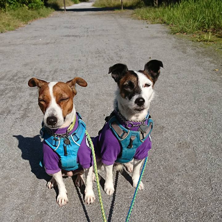 D00b892c 30dc 48e2 8782 e7e5bbb8bab8 1603239176097