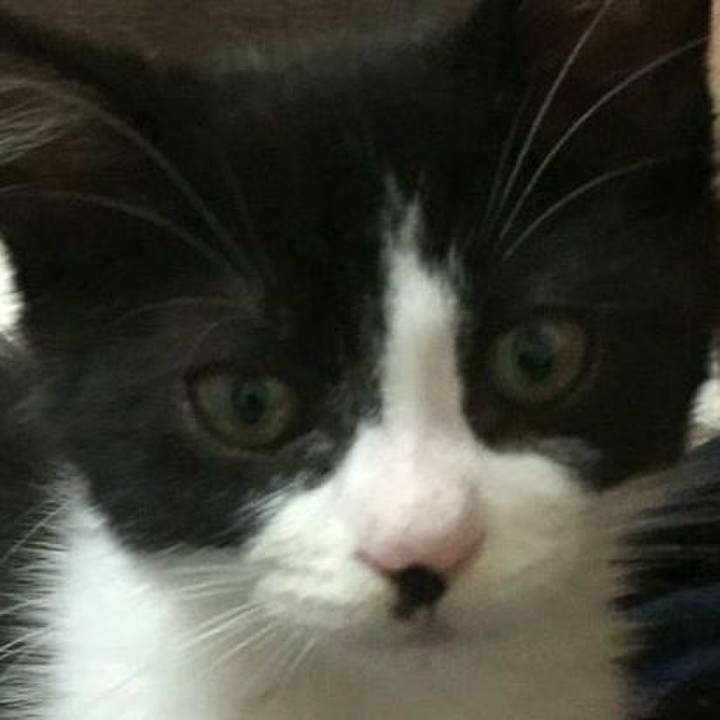 D00b8a7b 70a3 449b b09d b0aabfd363b6 1526136862307