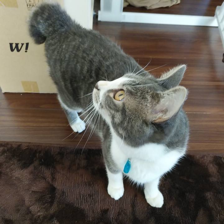 D00b9192 c686 44c1 962c f9b777e77a85 1576109650678