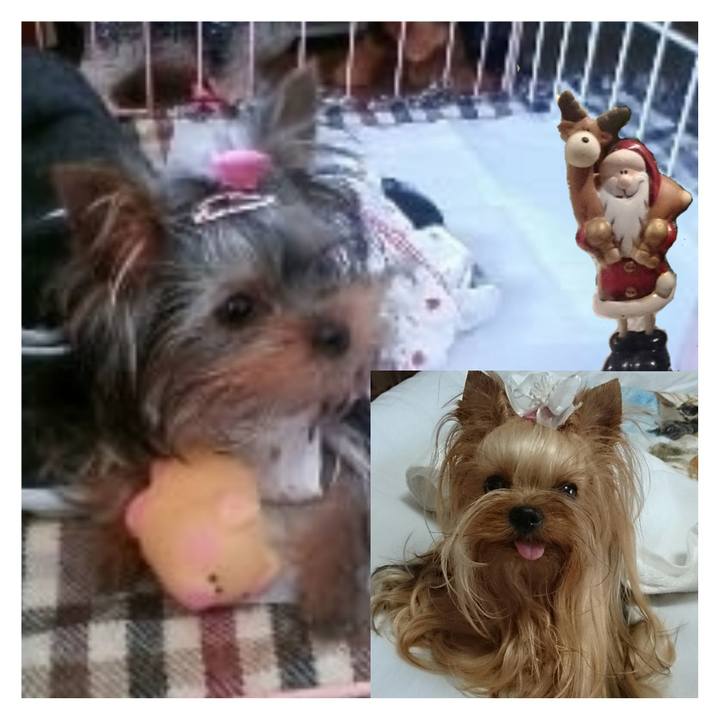 D00b9763 b3b4 471d 8f91 4ca247f5cc7a 1703256571568