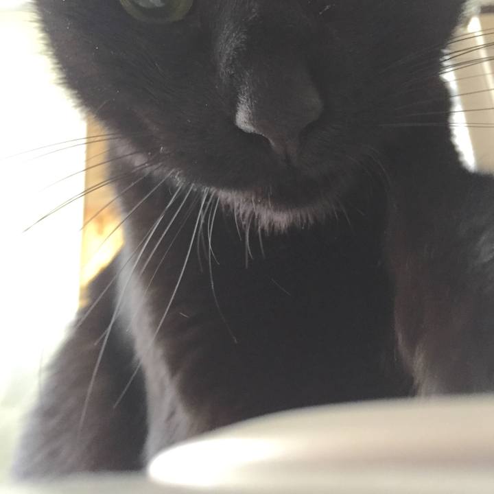 D00ba0d5 71f9 4b7e 876b 9b3f6d58216e 1509161990787