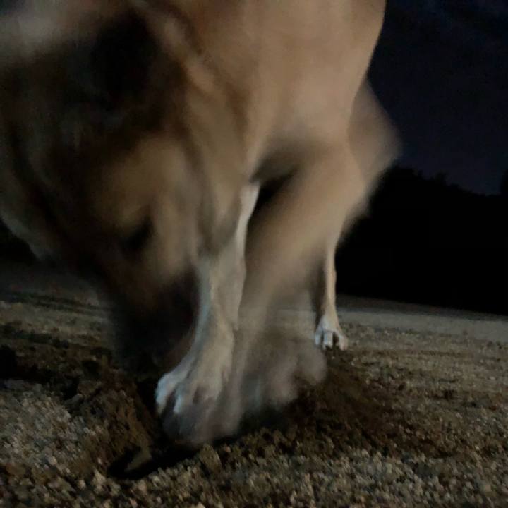 D00ba70c dc32 4d23 a579 af02764611b0 1612440219763