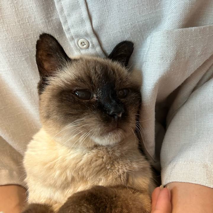 D00bdeb3 6f70 481c b9f1 37bb60b79932 1688442904391