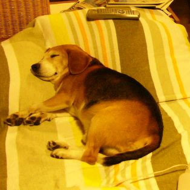 D00beac5 1f1e 49a7 ba70 8b47f871fdbf 1641001177075