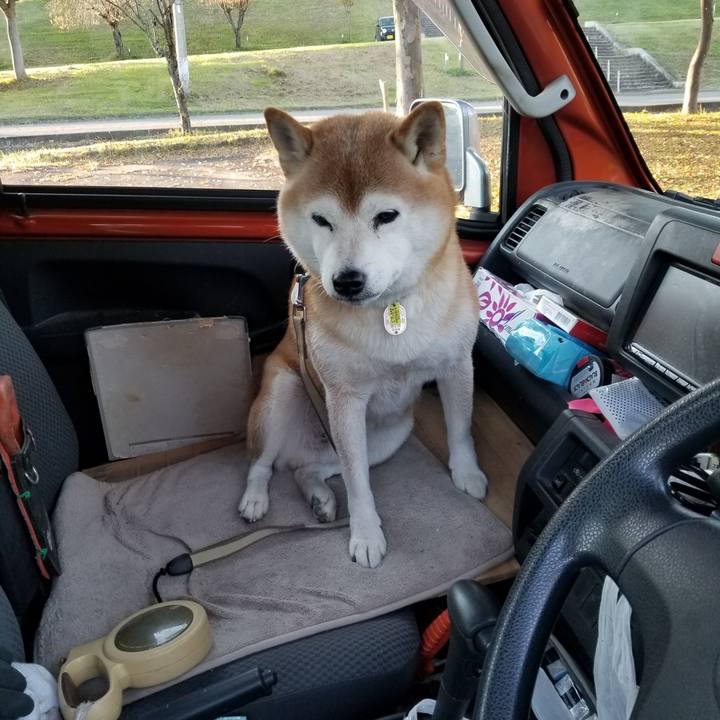 D00c78a3 8e0f 4974 abcb 223314cd8722 1666769058403