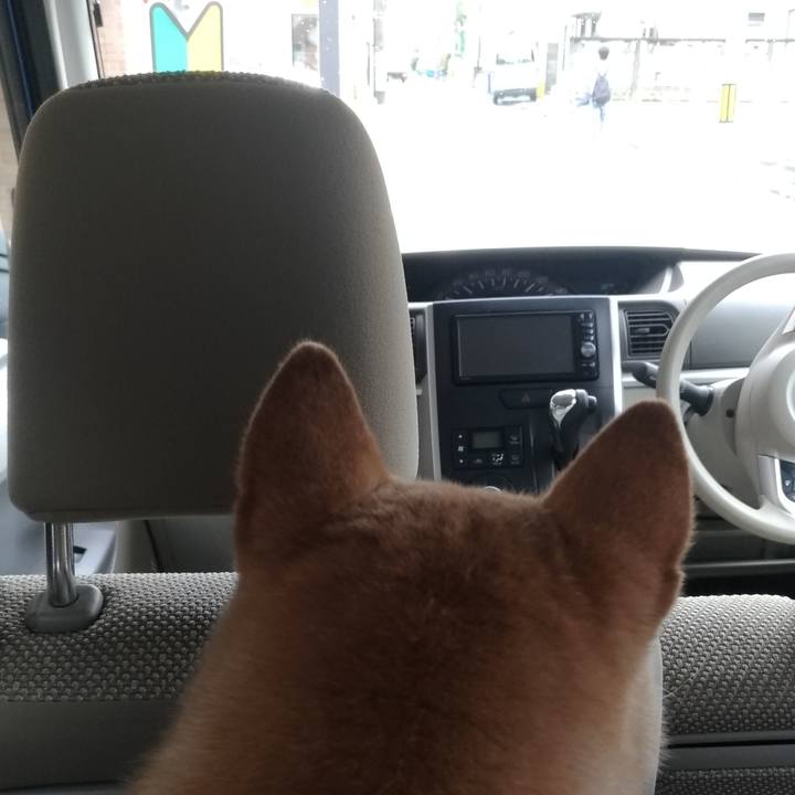 D00d1869 8bbc 40aa bfed a61b8acf4330 1595995343069