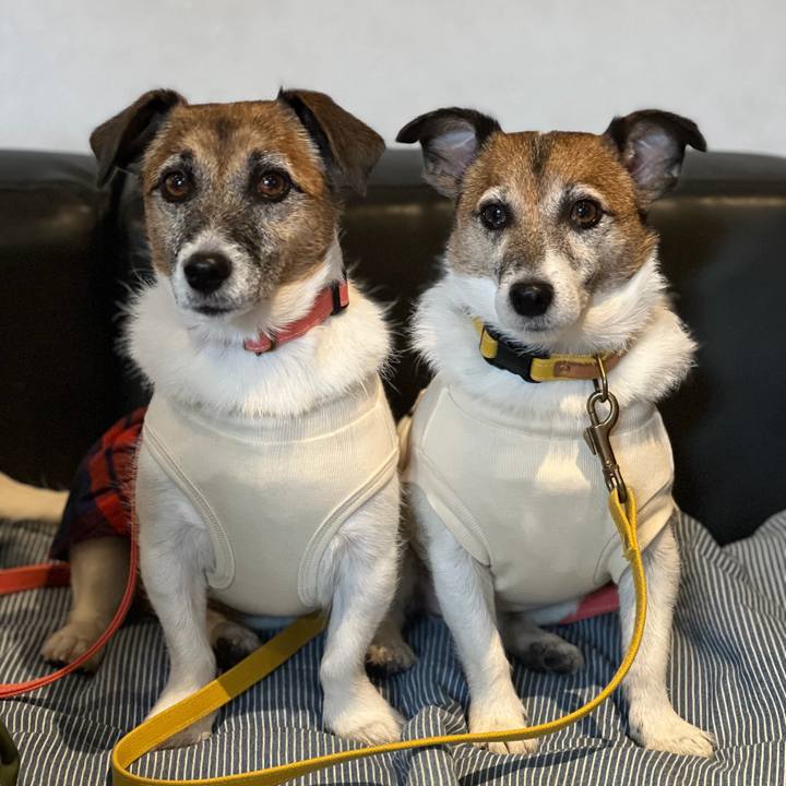 D00d19fb 835c 44c0 8da6 fd1c71cbf34e 1767058589446