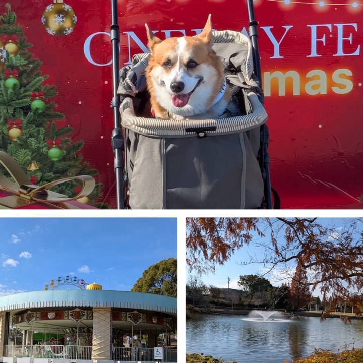 D00d1f63 a529 4216 8a1f 30e6d2007d84 1766734875898