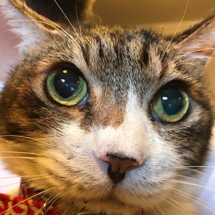 D00d26bc 32d3 4c5b ace4 df151967dbd9 1560647521939